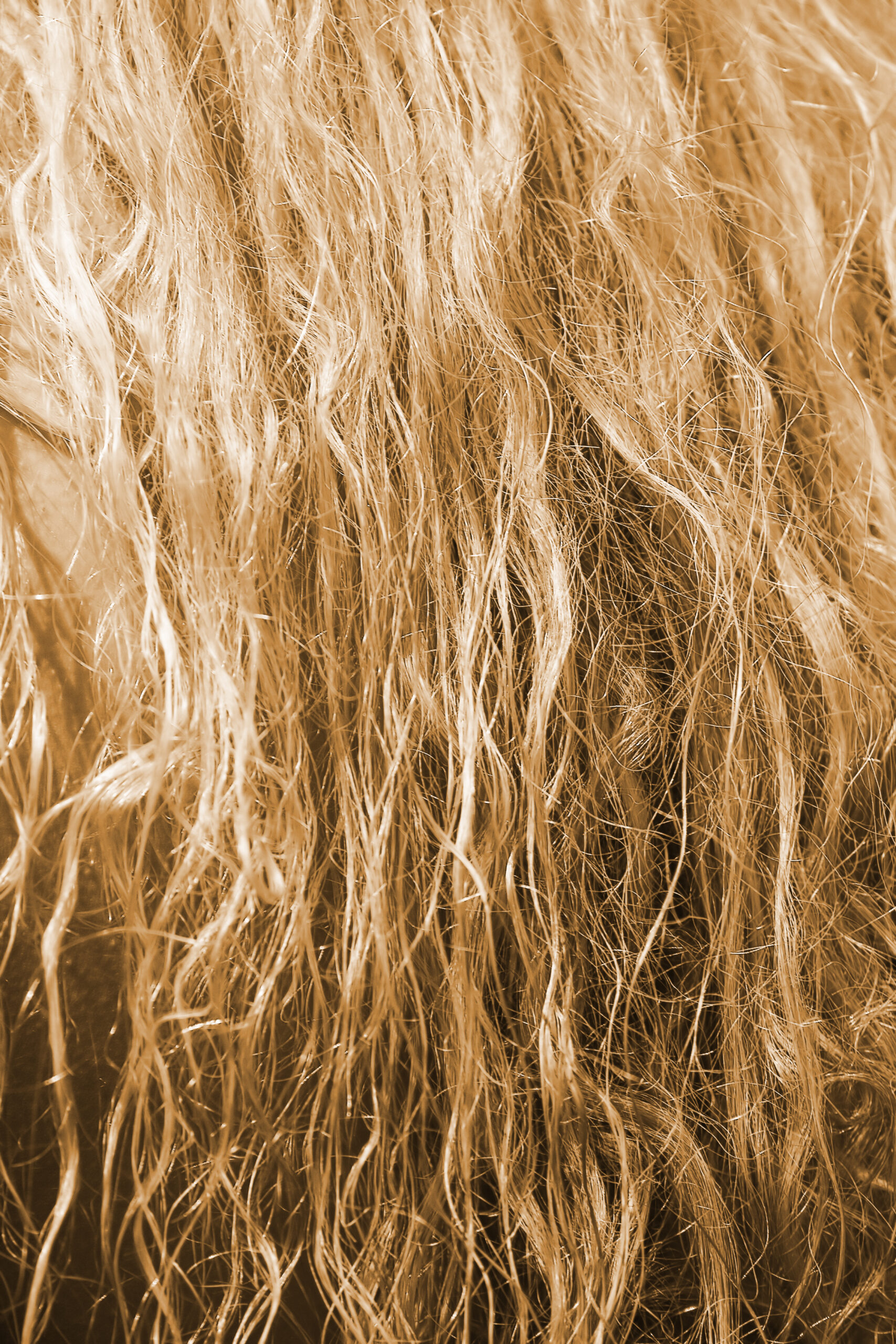 Prendre soin des cheveux secs Clinique du cheveu