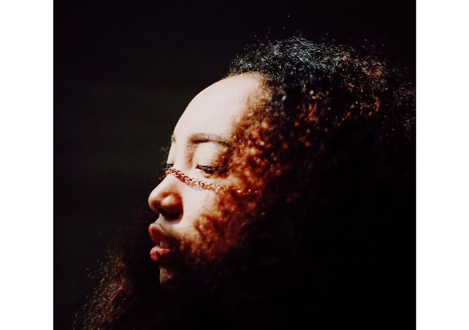 Les cheveux afro et méditerranéens