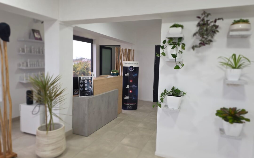 Ouverture d&rsquo;un institut à l&rsquo;Ile Maurice